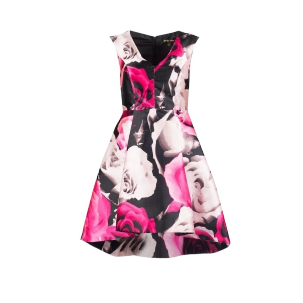 Shelby Nites Black Red Retro Roses Cocktail High Low Sleeveless Dress size 16